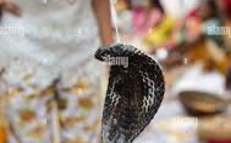 PRAYING AGAINST YOUR ENEMIES… RIGHT OR WRONG?